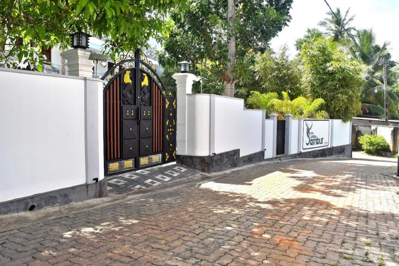 Villa De White Sambur Hikkaduwa Dış mekan fotoğraf